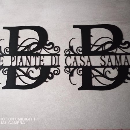 Castelguelfo Le Piante Di Casa Samar Bed & Breakfast エクステリア 写真