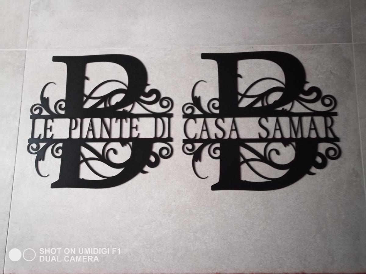 Castelguelfo Le Piante Di Casa Samar Bed & Breakfast エクステリア 写真