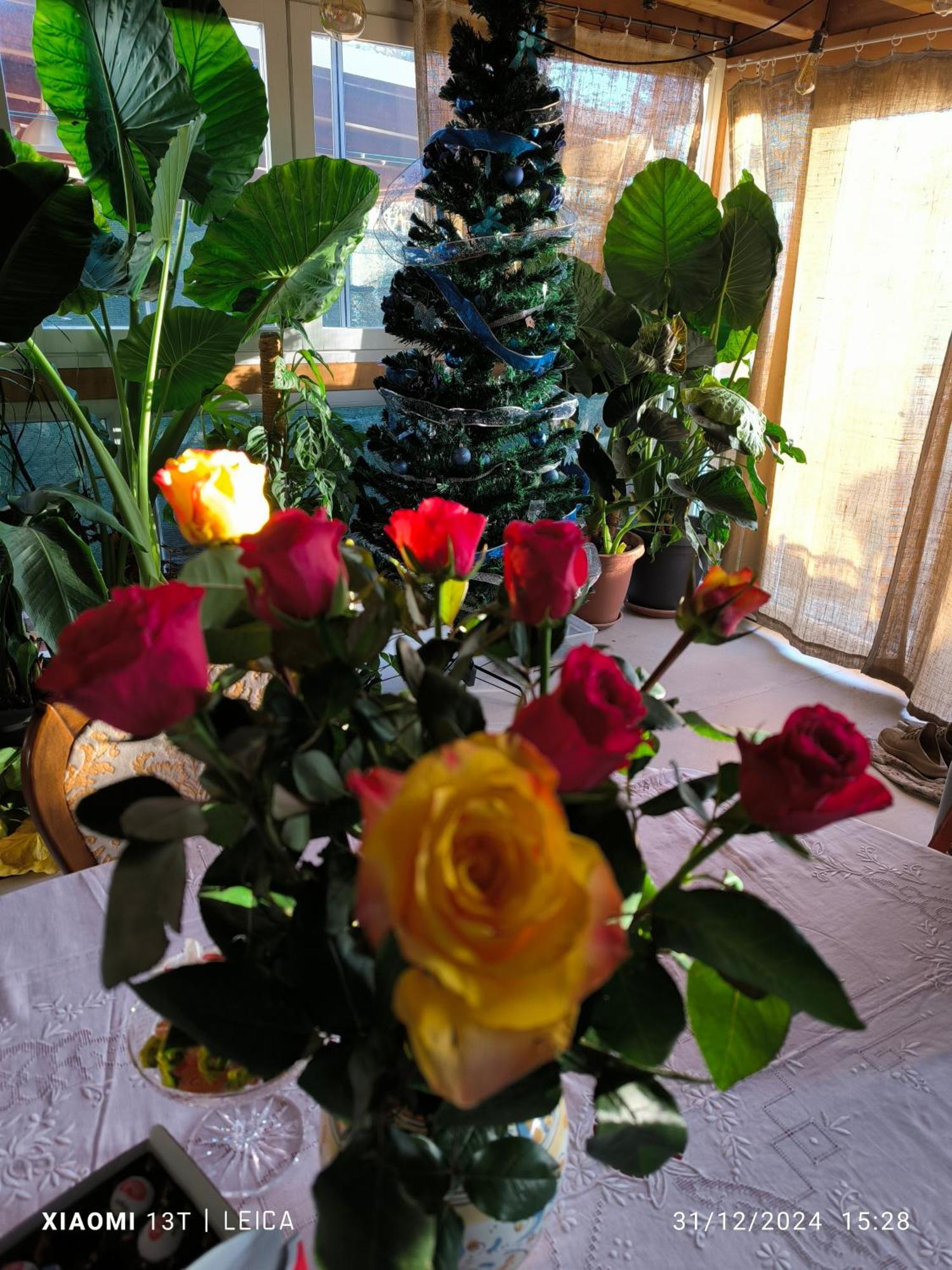 Castelguelfo Le Piante Di Casa Samar Bed & Breakfast エクステリア 写真